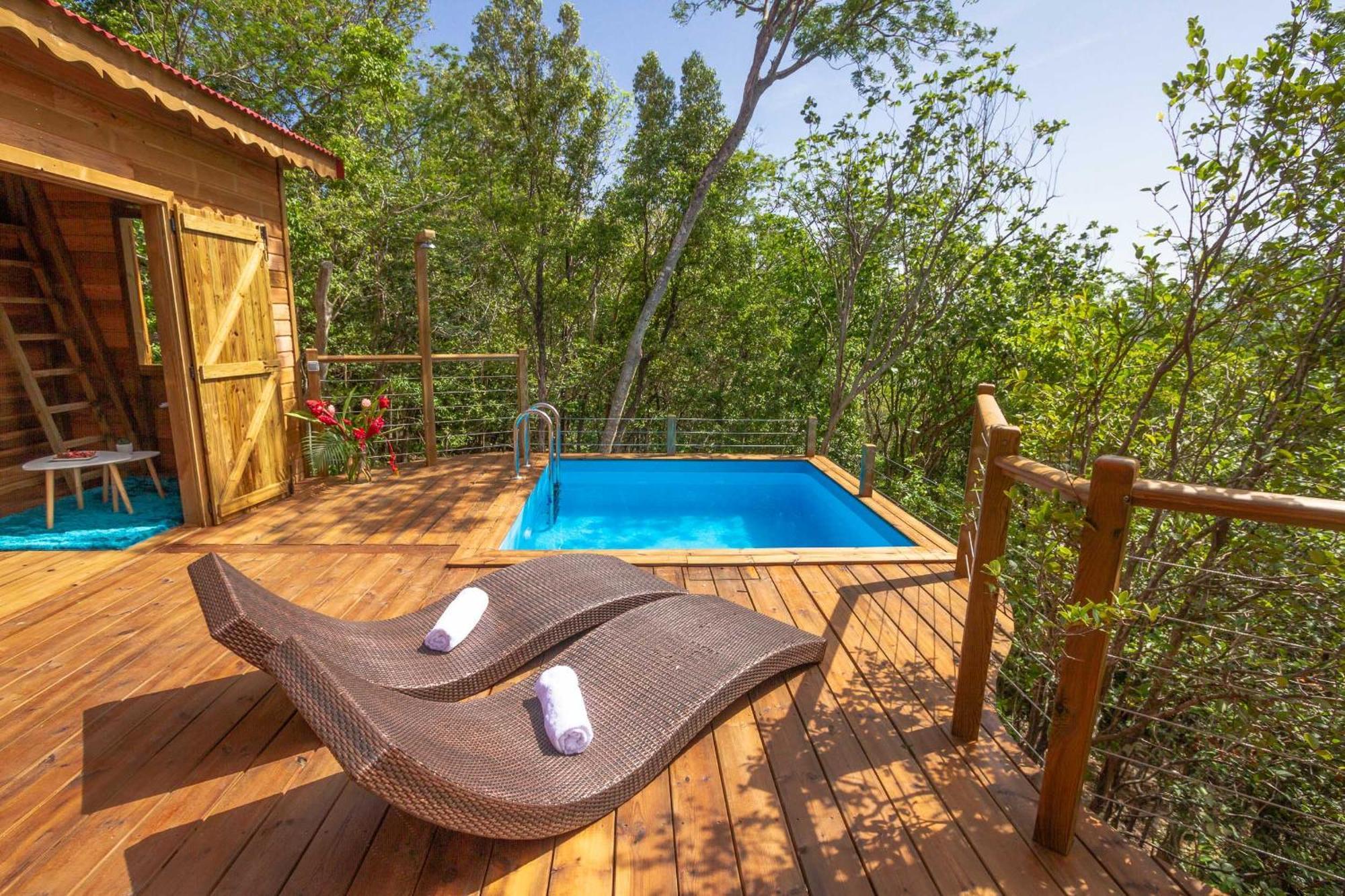 Au Jardin Des Colibris Ecolodge&Spa Deshaies Exterior foto